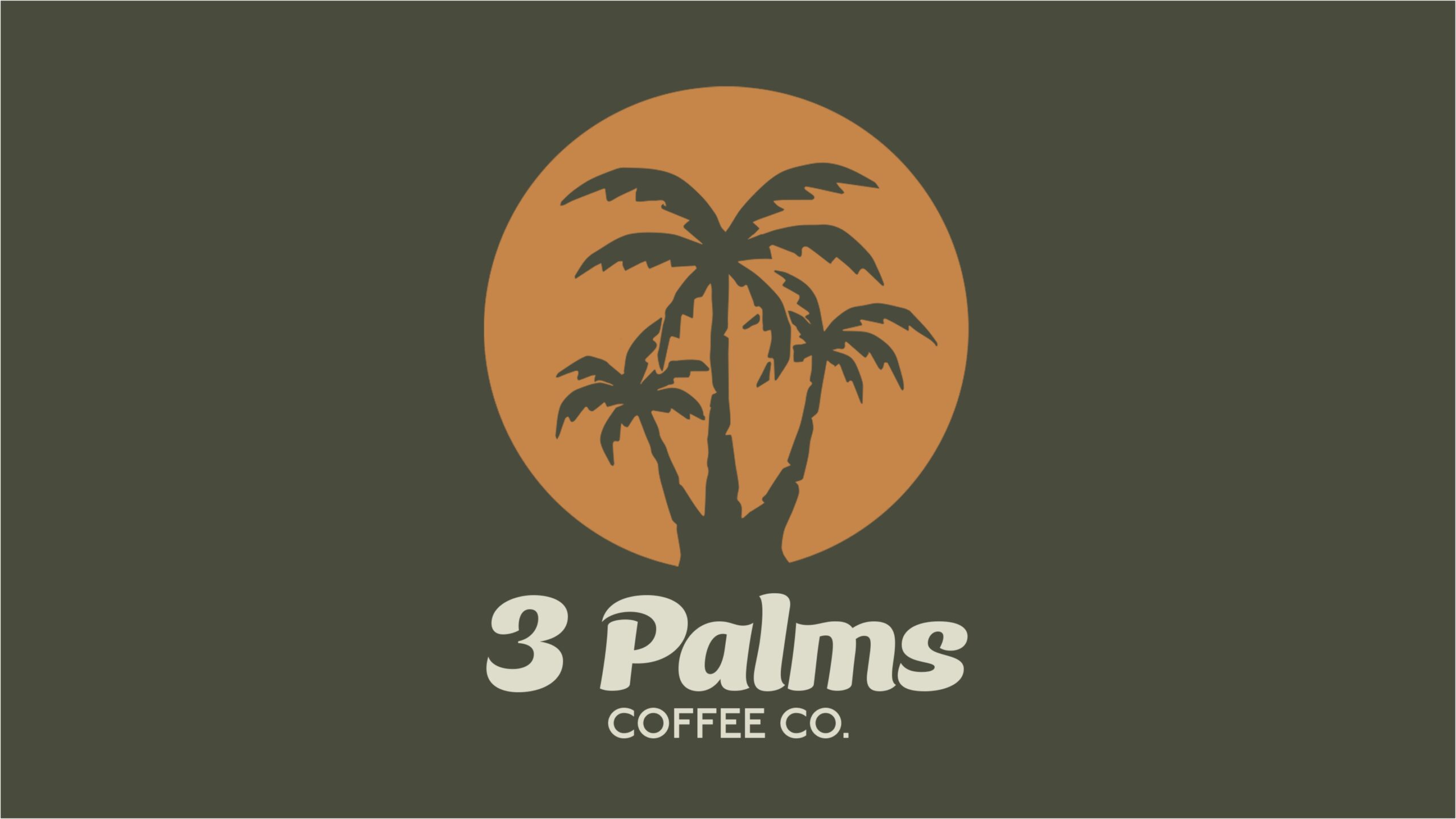 3Palms_BrandGuide-2